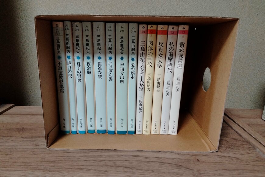 筆者撮影（セリア、ふた付ペーパーボックス マスターピースコレクション/WM）