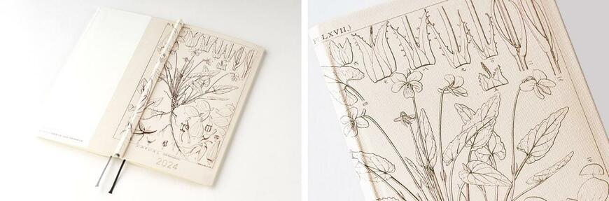 出所：ほぼ日『NHK朝ドラ『らんまん』のモデル・牧野富太郎博士の「植物図」がほぼ日手帳2024のラインナップに登場！』