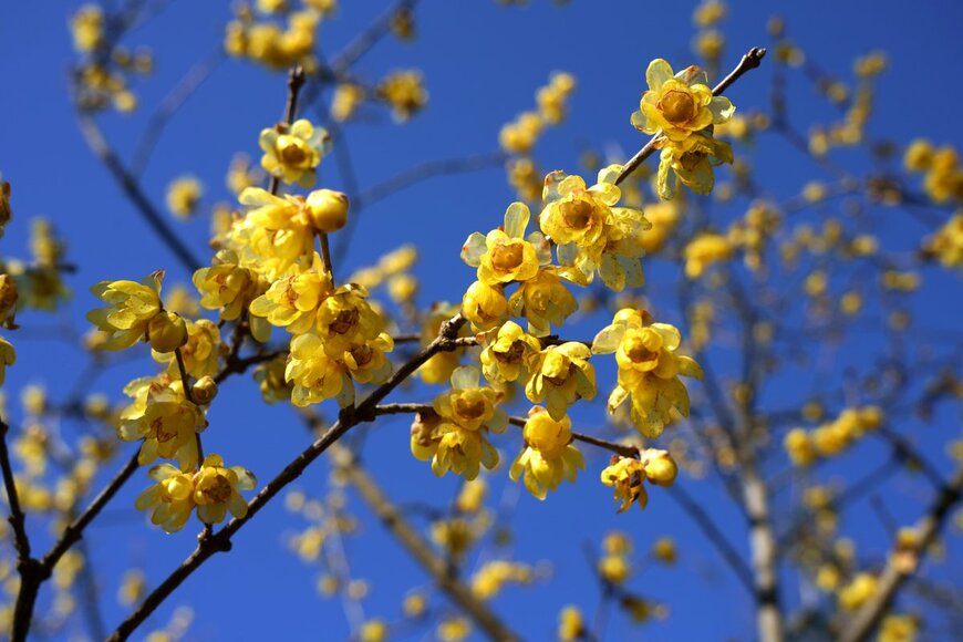 High Mountain/Shutterstock.com