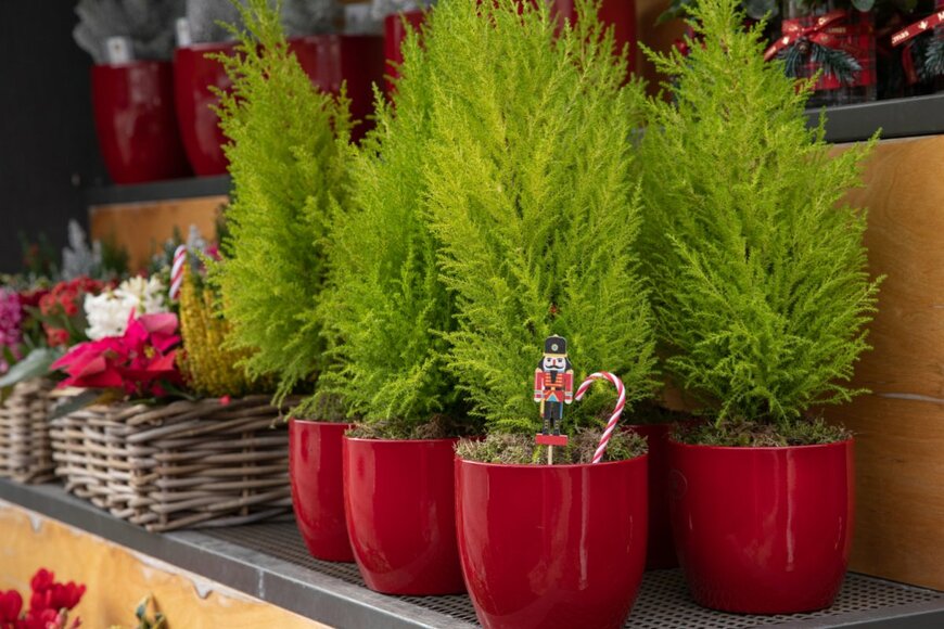 Victoria Kurylo/shutterstock.com