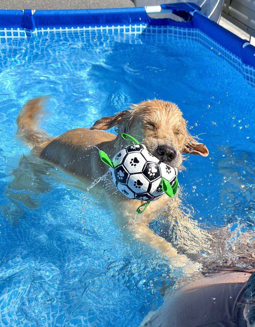 出所：@pu_channeldesu