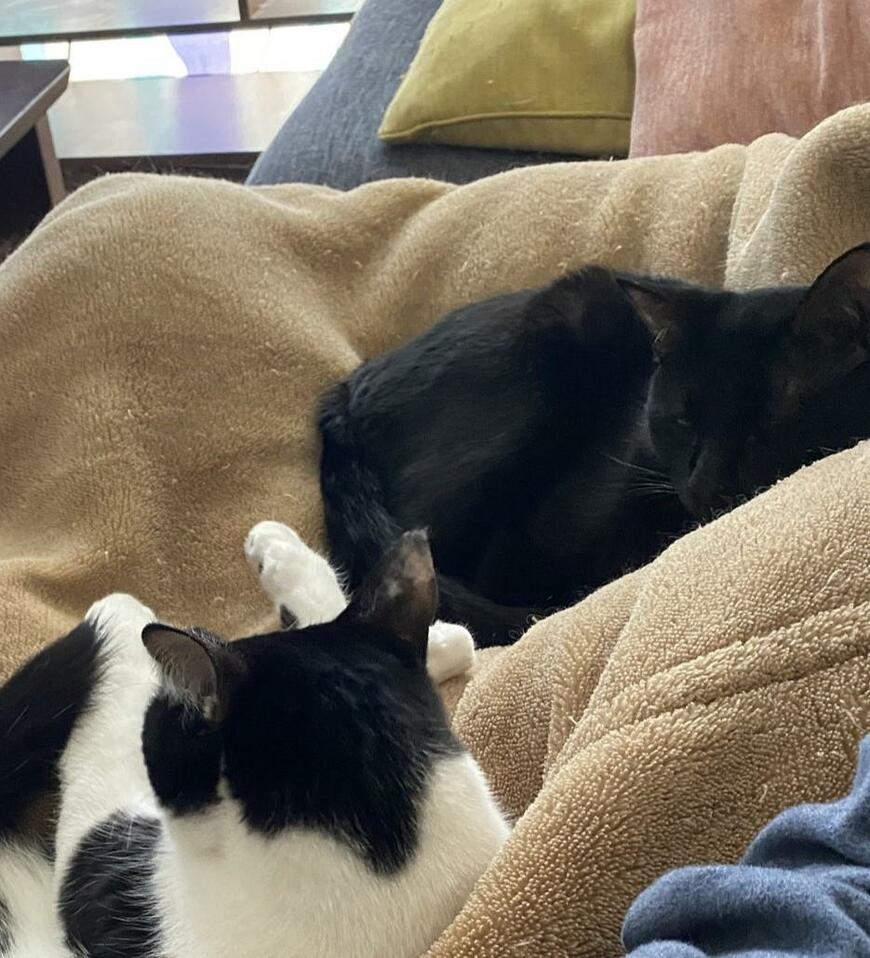 出所：@00shitemita