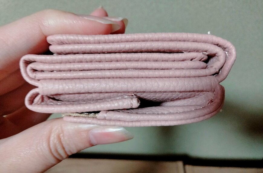 筆者撮影（宝島社、開運 三つ折り財布 2023）