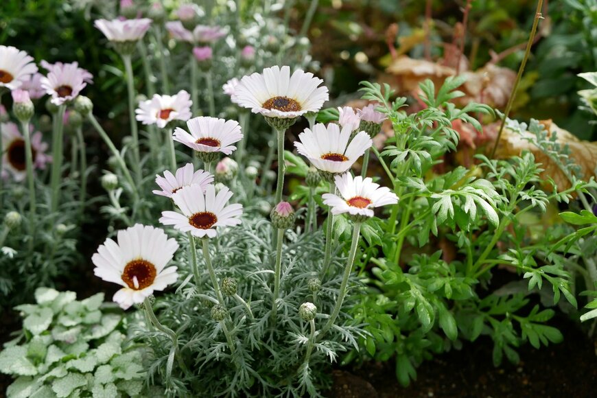 croquette/Shutterstock.com