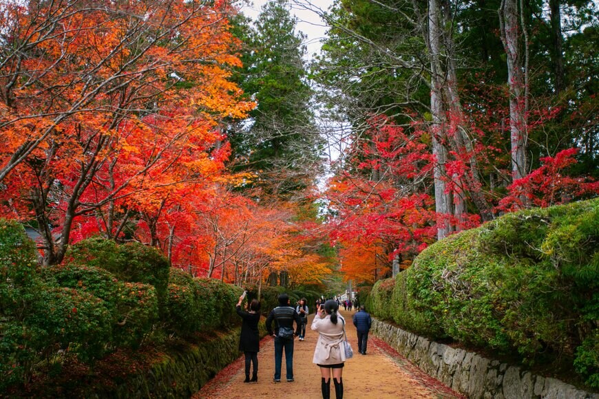 b-hide the scene/shutterstock.com