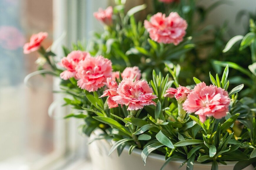 Konstantin Aksenov/istockphoto.com