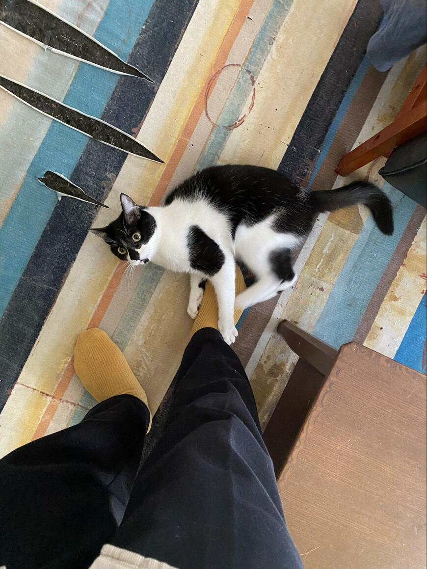 出所：@00shitemita