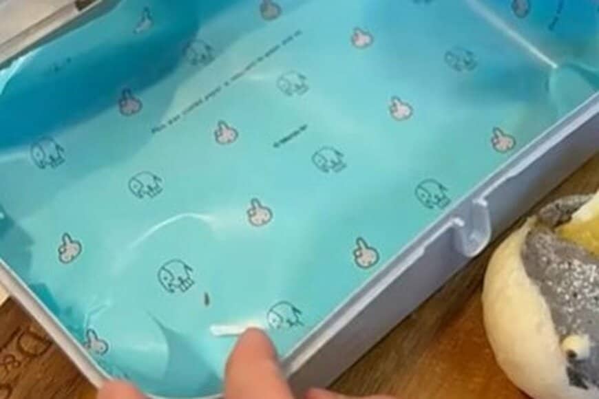 古代魚を模したパンを使用する「サンドイッチ弁当」　ユーモアあふれる発想に「可愛すぎます」