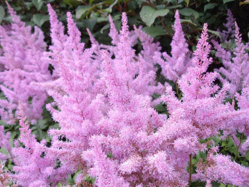 Cyanid/shutterstock.com