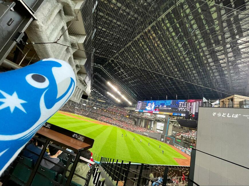 出所：@nozomi_uni