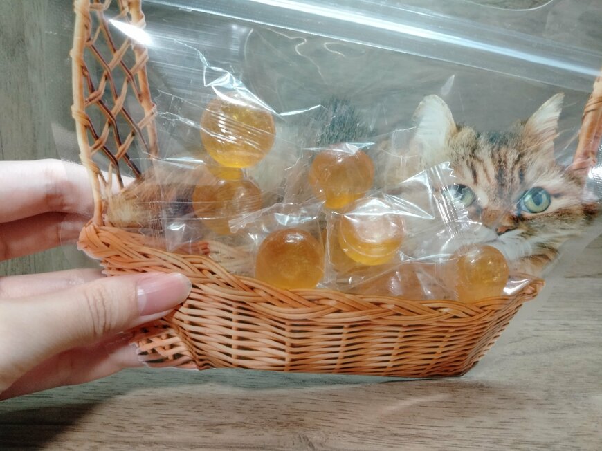 筆者撮影（セリア、持ち手付ギフトバッグ3P 猫）