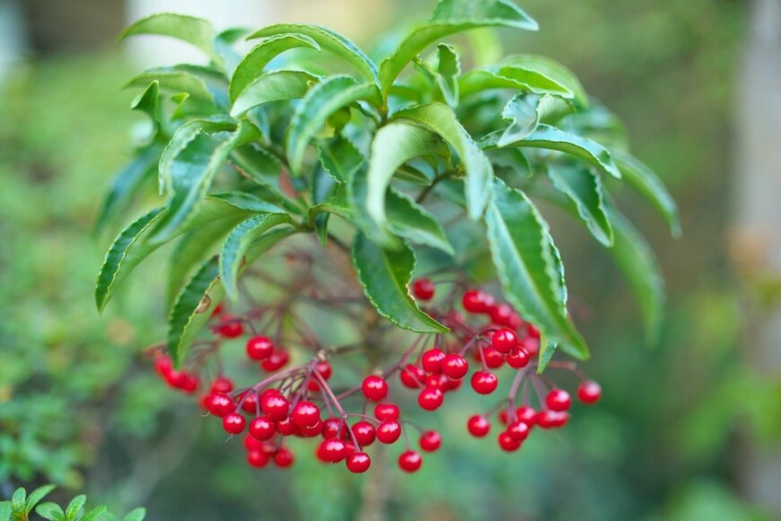 TokioMarineLife/istockphoto.com