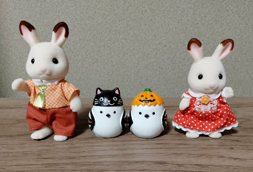 出者撮影（キャンドゥ、JOL＆黒猫シマエナガ）