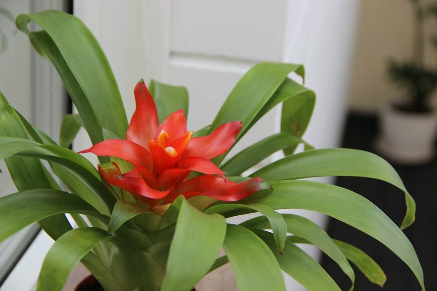 Svekrova Olga/Shutterstock.com