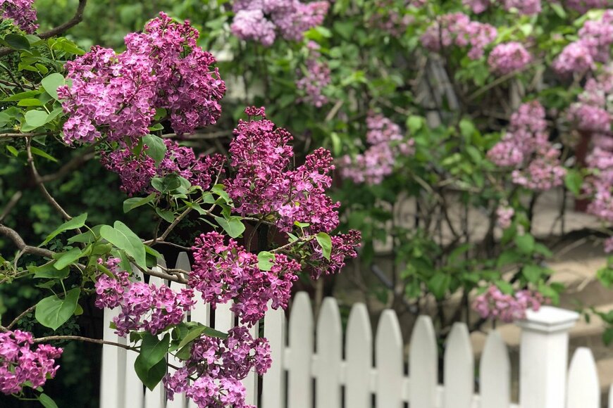 Andy Stark/shutterstock.com