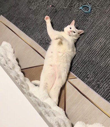 出所：@user5252430348026