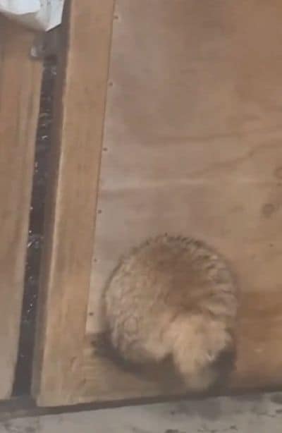 出所：@MJK20160808