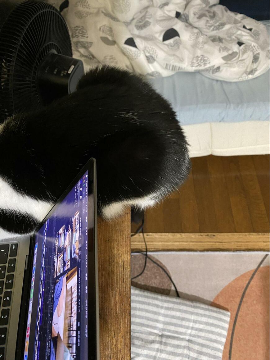 出所：@00shitemita