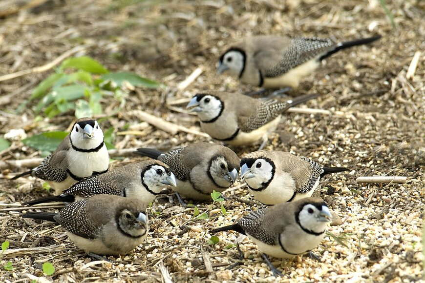 Sherjaca/shutterstock.com