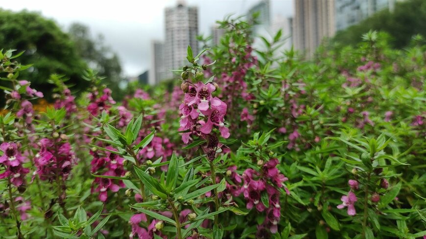 Hanna Yohanna/istockphoto.com