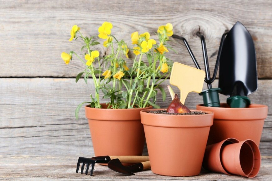 5second/istockphoto.com