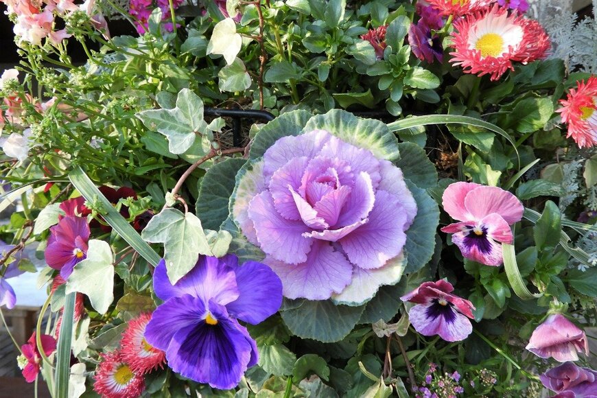 Chiemi Kumitani/istockphoto.com