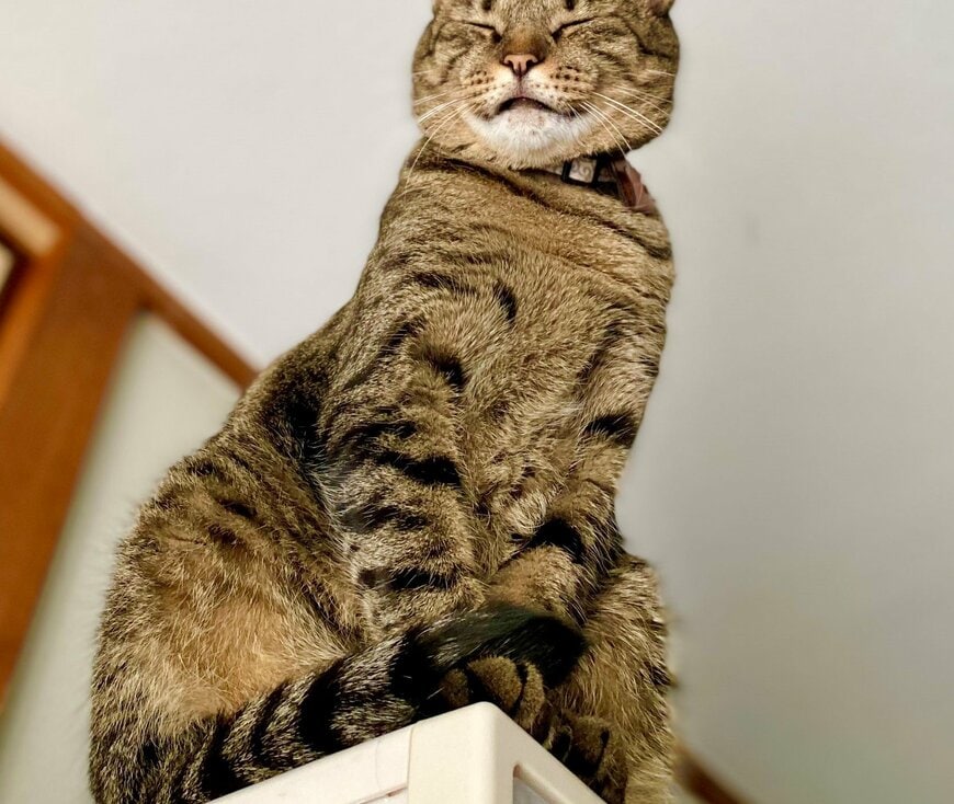 出所：@luna7taka9