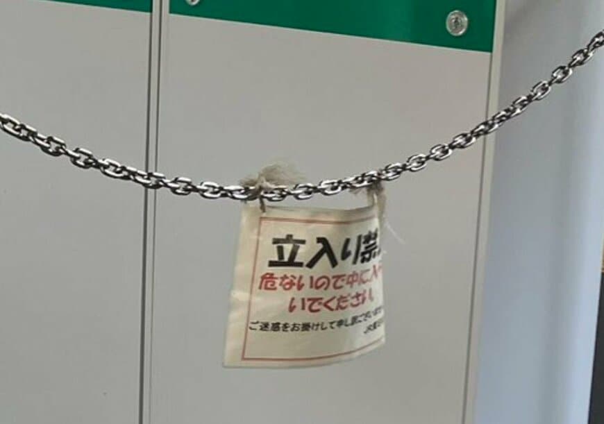 投稿の画像