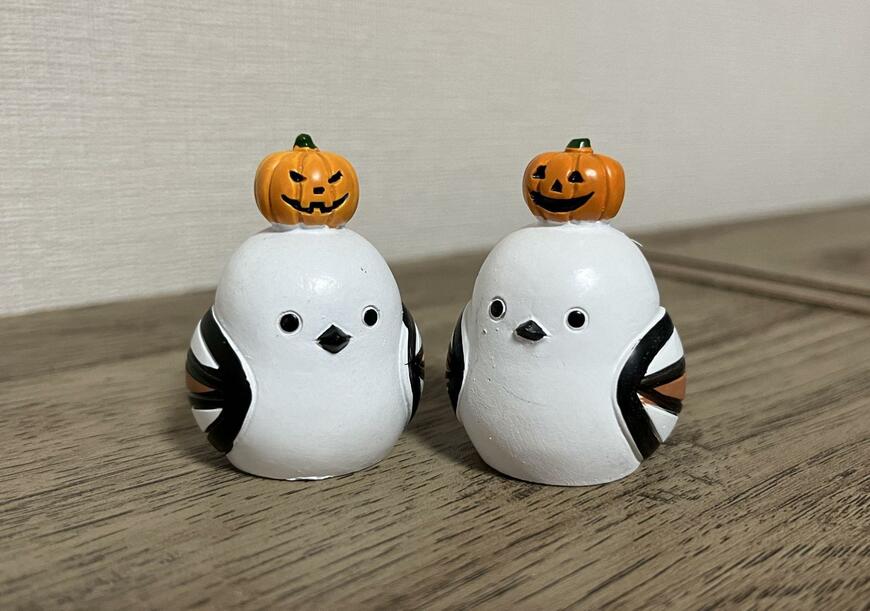 キャンドゥ、リトルフレンド頭にちょこんとシマエナガ画像