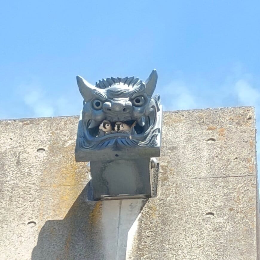 投稿の画像