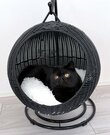 ゆりかごで優雅にくつろぐ猫ちゃんに「おしゃれなマダムみたいだね」の声　