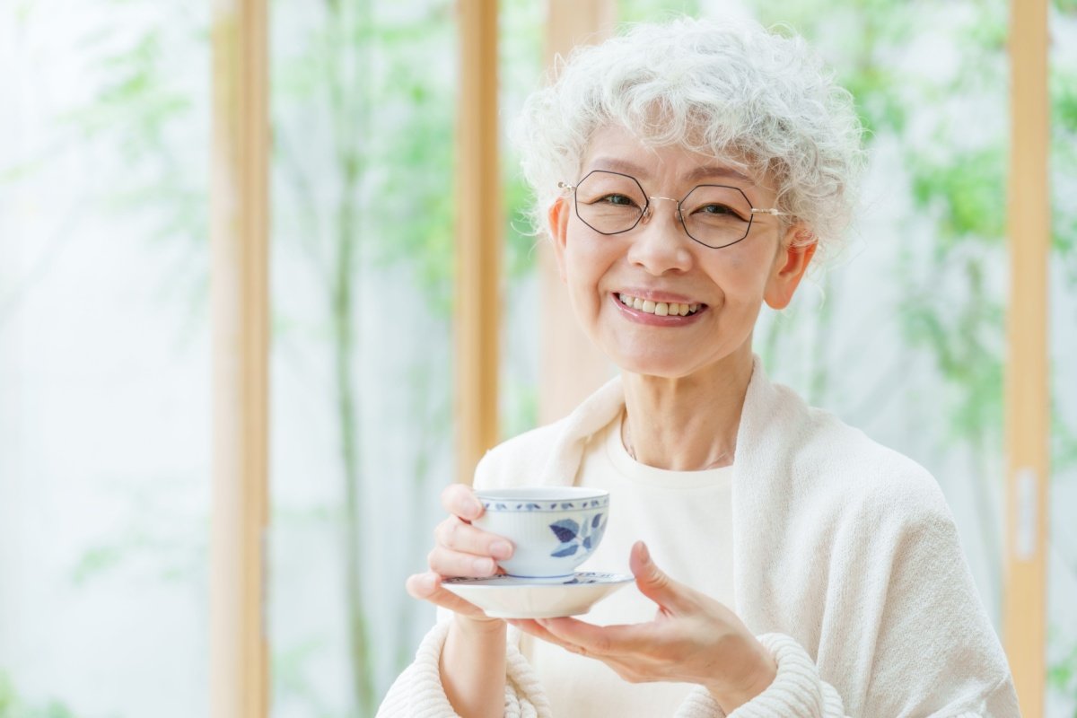 スリングテレビ 25