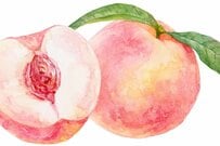 70歳代シニア世帯「生活費・貯蓄額・厚生年金と国民年金月額」の平均はいくら？在職老齢年金の支給停止調整額が2026年度から月62万円に引き上げへ