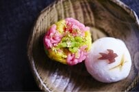 【次回6月15日支給分から】「厚生年金・国民年金」の年金額が増えます。働き方でどう変わる？ライフコース別・年金受給額の試算5選