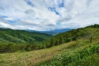 長野県から望む富士山を撮影 雲海と街明かりが織りなす幻想的な光景に「ヤバ！美しすぎ」