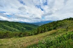 長野県から望む富士山を撮影 雲海と街明かりが織りなす幻想的な光景に「ヤバ！美しすぎ」