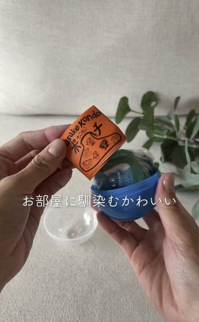 カプセルトイのカプセルと中の紙