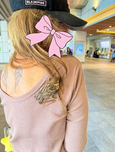 よく見ると、スズメの姿が！