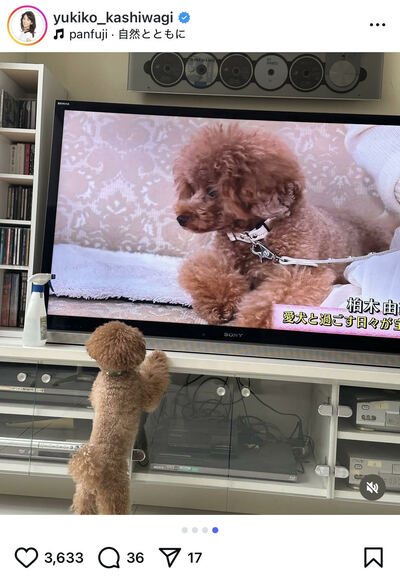 柏木由紀子のInstagram投稿