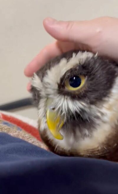 投稿動画のワンシーン