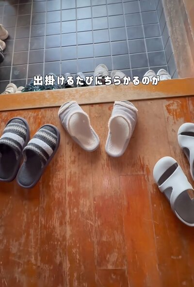 投稿の画像
