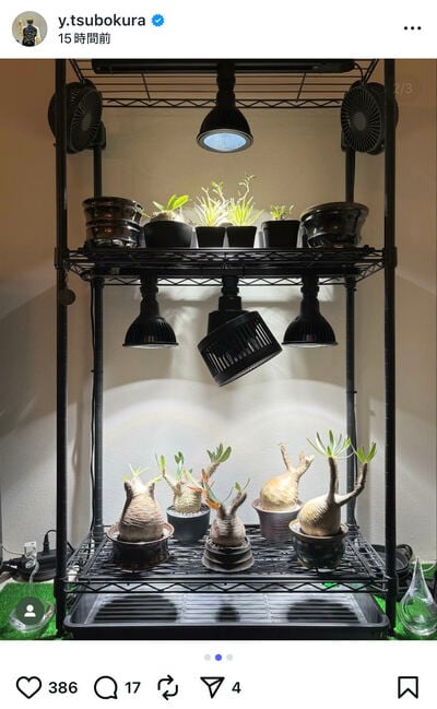 坪倉由幸のInstagram投稿