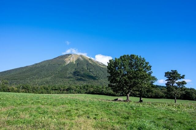 「え？馬！？」鳥取県大山町で発見された「馬注意」の看板 実は本当に目撃される珍しいエリアだった