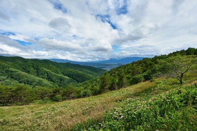 長野県から望む富士山を撮影 雲海と街明かりが織りなす幻想的な光景に「絶景ですね」