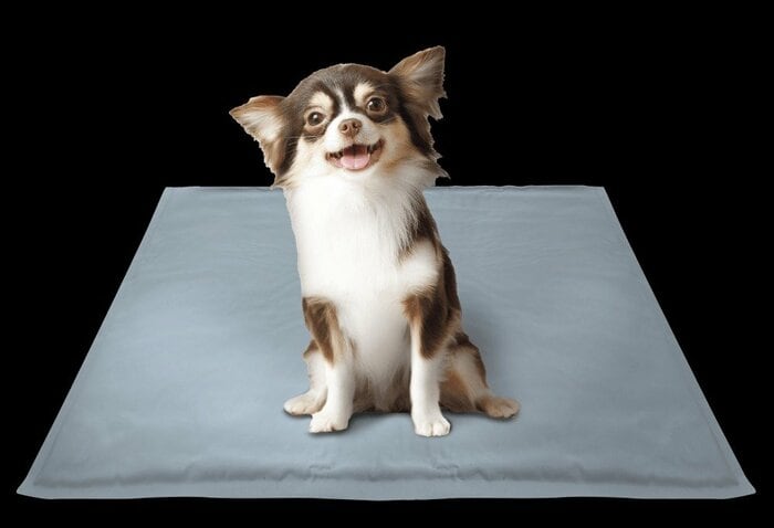 コメリ公式　Pet ami ひんやり爽快ジェルマット 犬・猫用 50×40cm