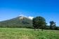 「え？馬！？」鳥取県大山町で発見された「馬注意」の看板　実は本当に目撃される珍しいエリアだった