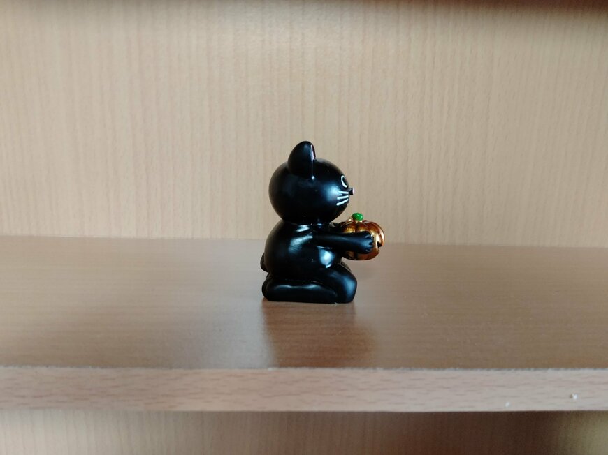 筆者撮影（セリア、リトルフレンドキャットJ・O・L）