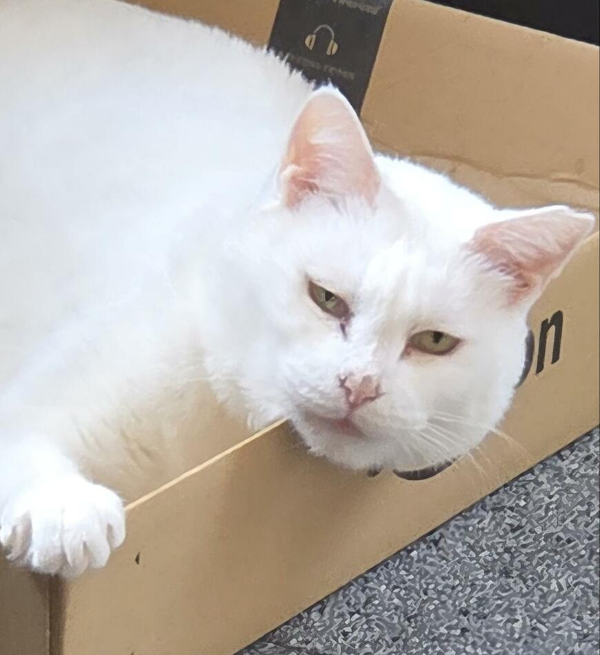 出所：@NYANMARUKE