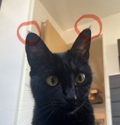 出所：＠Teagle_Noir