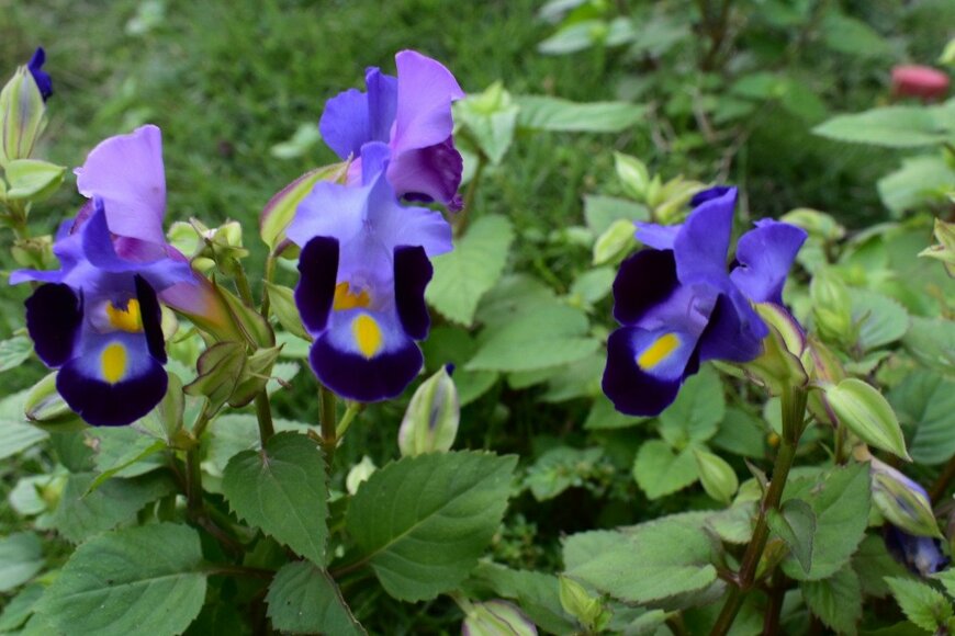 ED ABONG/istockphoto.com